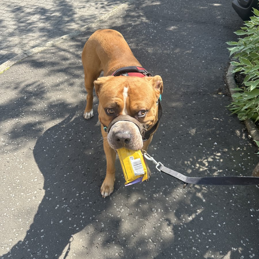 Tyson photo